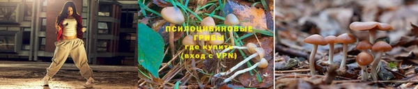 спиды Арсеньев