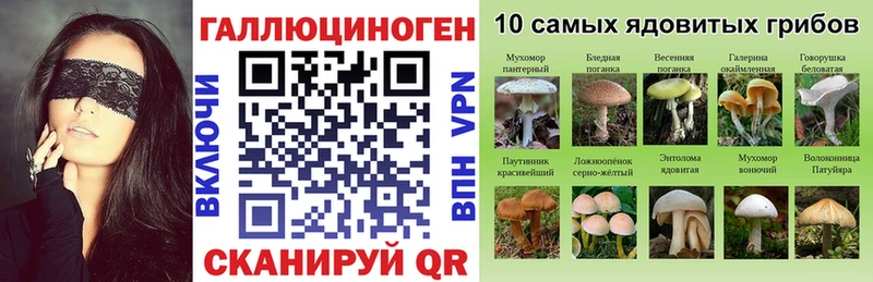Псилоцибиновые грибы Psilocybine cubensis где купить Салават